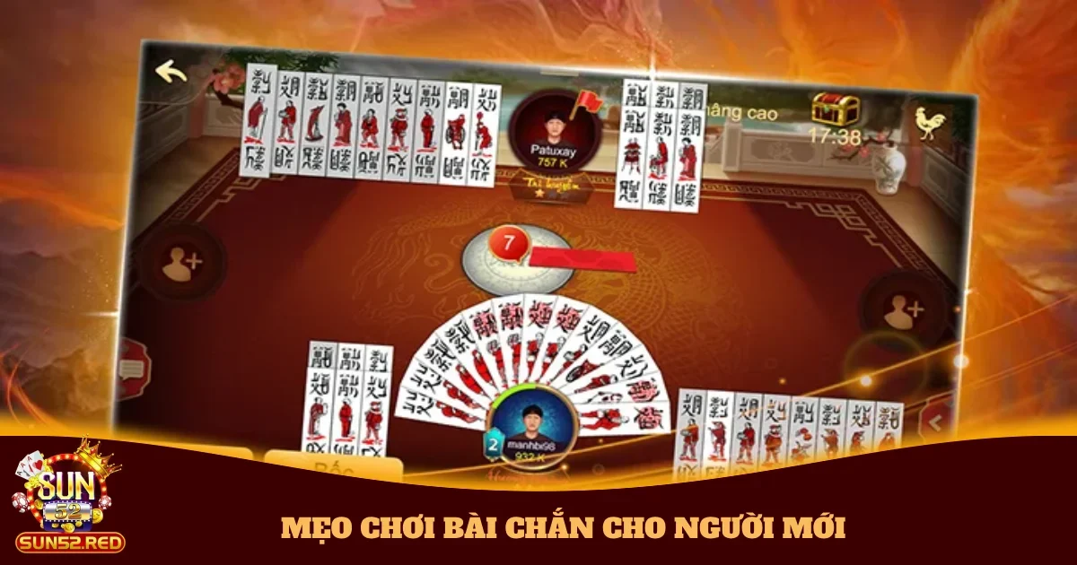 meo choi bai chan cho nguoi moi 5